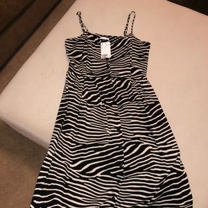 H&M Zebra Dress